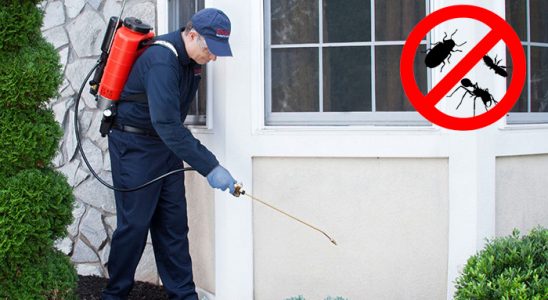 Yahyalı Tahtakurusu İlaçlama böcek ilaçlama ve haşere kontrolü — ilaclama-tr.com